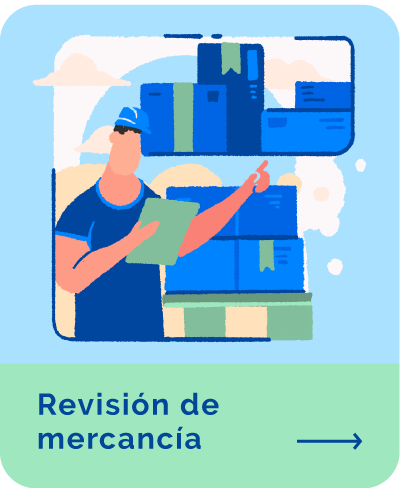 revisión